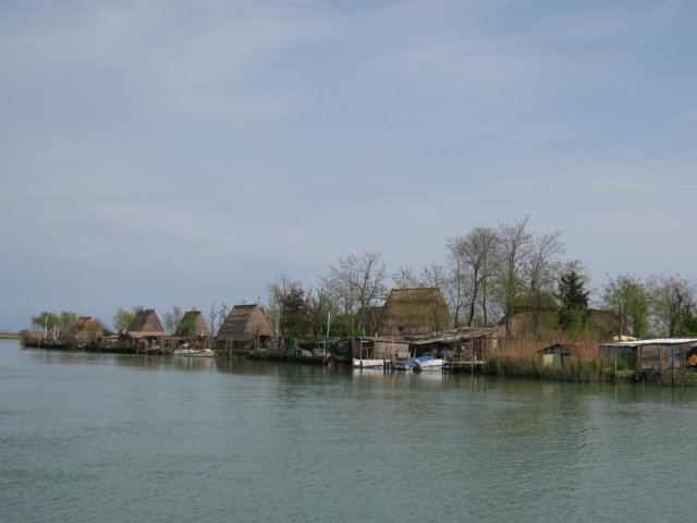 img_5981.jpg