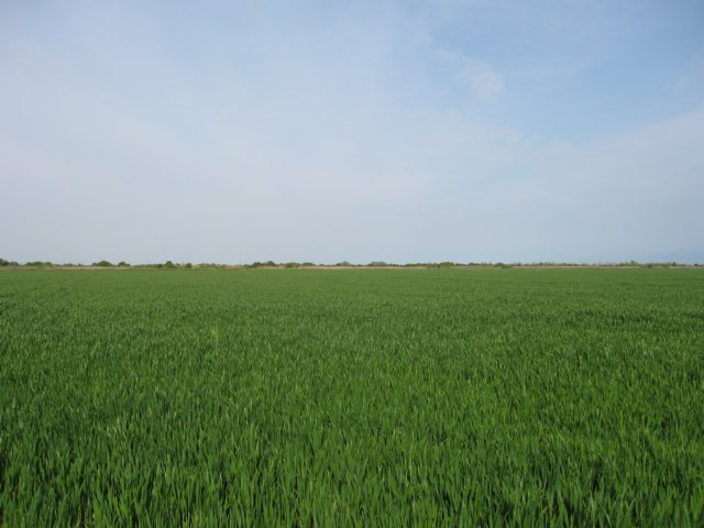 img_5988.jpg
