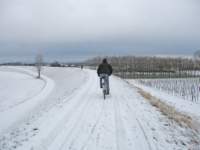 img_5821_small.jpg