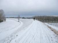 img_5822_small.jpg