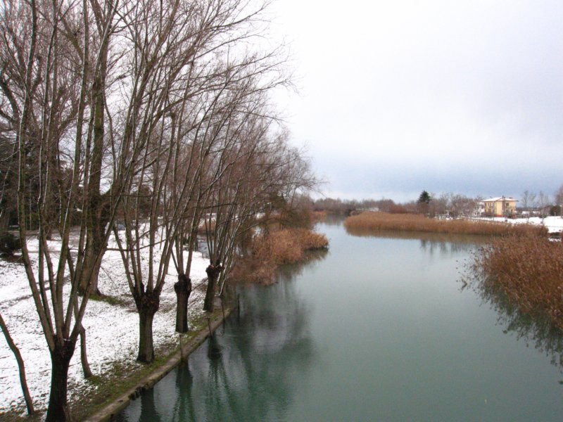 img_5833.jpg