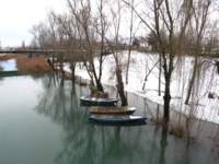 img_5834_small.jpg