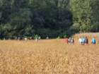 dsc03174_small.jpg