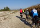 dsc03176_small.jpg