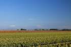 dsc03180a_small.jpg