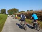 dsc03196_small.jpg
