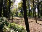 dsc03299_small.jpg