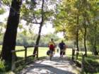 dsc03303_small.jpg