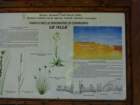 dsc03307_small.jpg