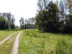dsc03309_small.jpg