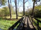 dsc03325_small.jpg