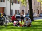 dsc03354_small.jpg