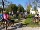 dsc03439_small.jpg