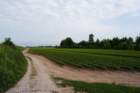 img_1585c2_small.jpg