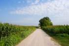 img_1585c_small.jpg