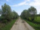 img_1594_small.jpg
