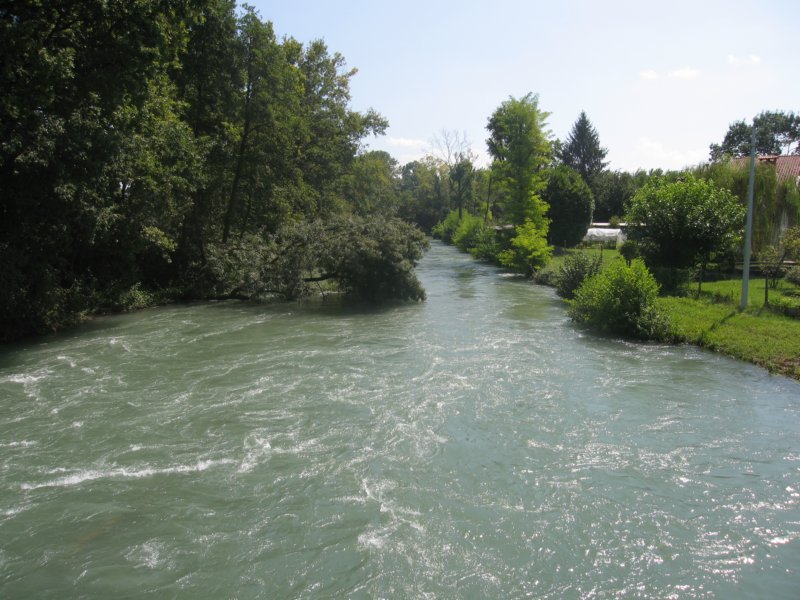 img_7231aa.jpg