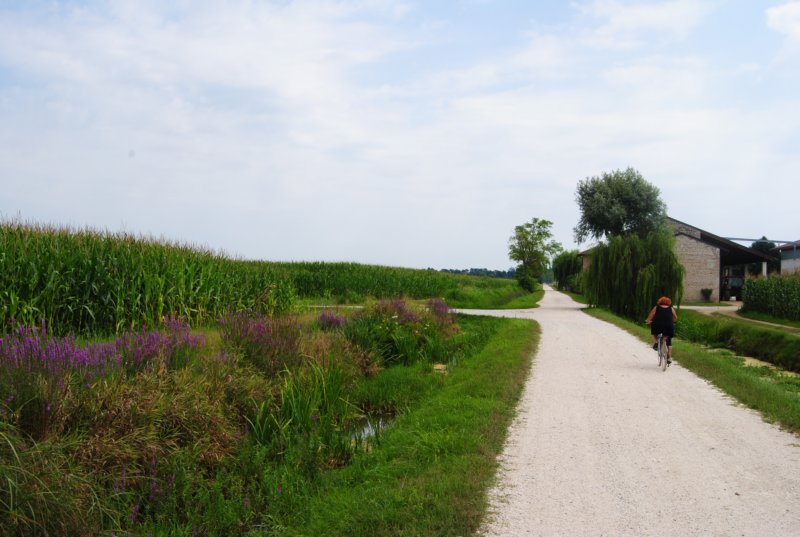pn070.jpg