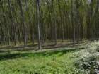 dsc01969_small.jpg