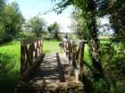 dsc01985_small.jpg