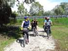 dsc01988_small.jpg
