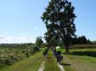 dsc01989_small.jpg