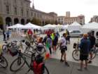 dsc02313_small.jpg