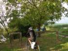 dsc02322_small.jpg