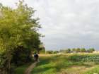 dsc02325_small.jpg