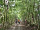 dsc02332_small.jpg