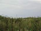 dsc02346_small.jpg