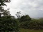 dsc02356_small.jpg
