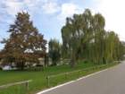 dsc02389_small.jpg