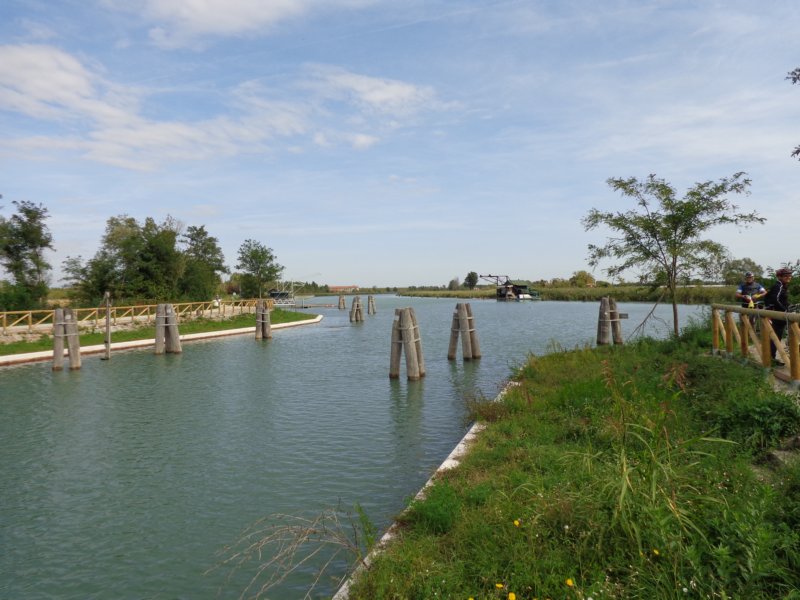 dsc02420.jpg