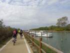 dsc02430_small.jpg
