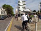 dsc02486_small.jpg