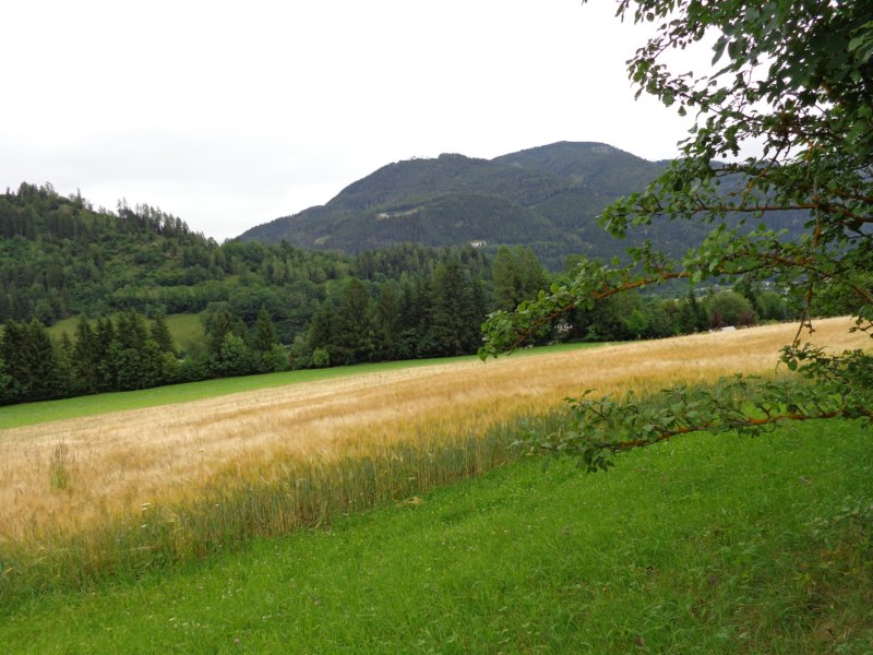 dsc00812.jpg