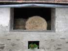 dsc00836_small.jpg