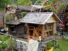 dsc00889_small.jpg