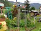 dsc00890_small.jpg