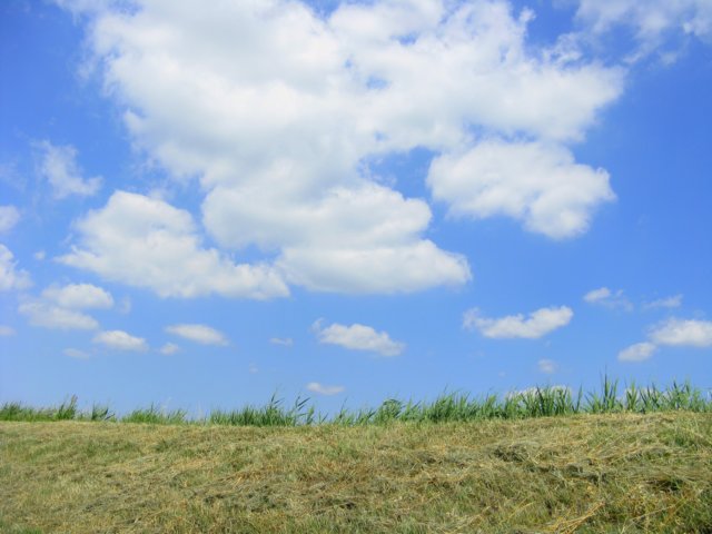 immagine068.jpg