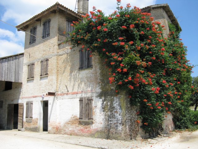 immagine070.jpg