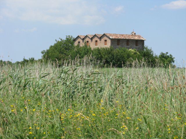 immagine071.jpg