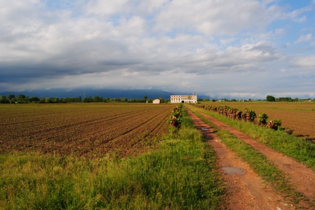 dsc_0243.jpg