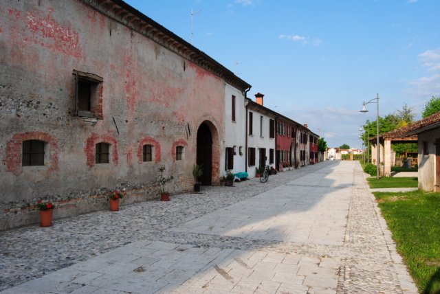 dsc_0262.jpg