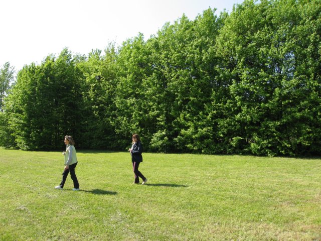 img_7946.jpg
