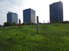 dsc03956_small.jpg