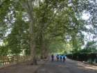 dsc03967_small.jpg