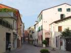 dsc03970_small.jpg
