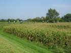 dsc04045_small.jpg